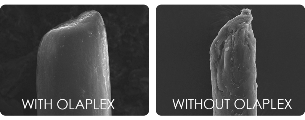 Hair under microscope with and without Olapex